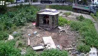 2021년 4월 4일 CCTV 영상이 유출되었는데, 네가 개를 더럽히면 …