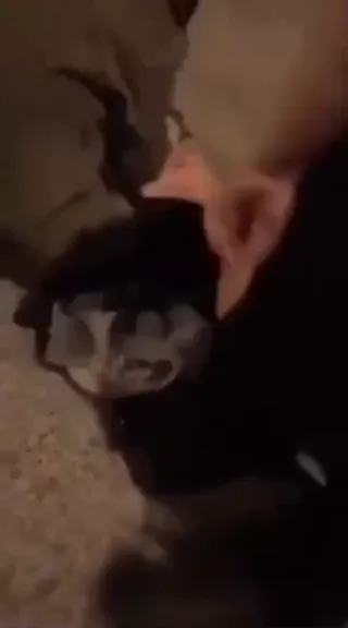 이것이 바로 소삼이 된 결과이다