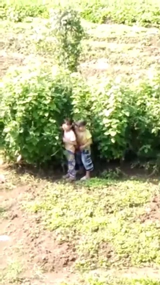길가에서 화장실에 가려고 했는데, 뜻밖에도 고개를 들어 채소밭에서 이 장면을 보았다