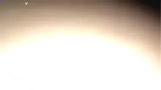 90년대생 유학 백부미 여자친구