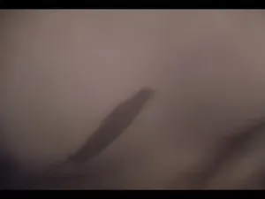 ip홈캠야동 부유층처럼 보이는 부부 넓은 거실 소파에서 - 실시간 국산야동 국산야동